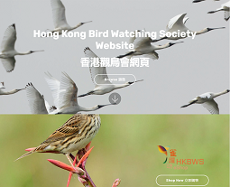 香港觀鳥會