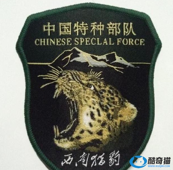 中国十大特种部队排名，海军特种部队“东北虎”排第一，西南猎豹排行第九