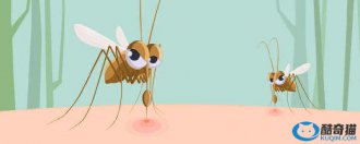 驱蚊产品有毒吗 电热蚊香液/电热蚊香片的使用原理